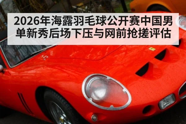 2026年海露羽毛球公开赛中国男单新秀后场下压与网前抢搓评估